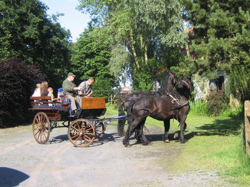 B&B Ter Castaigne Koekelare 외부 사진