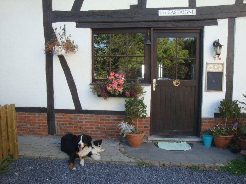 B&B Ter Castaigne Koekelare 외부 사진